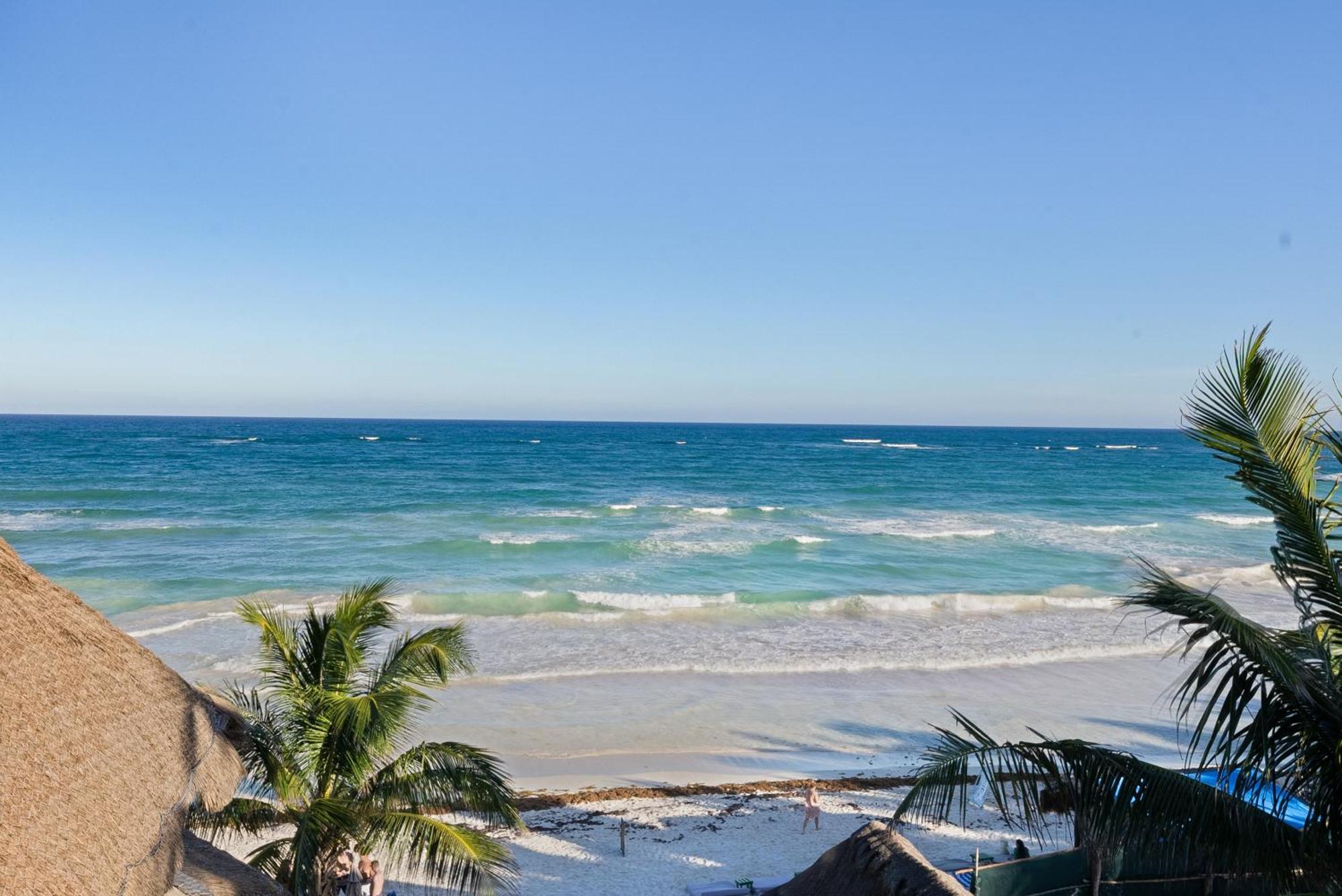 Playa Canek Beachfront Eco Hotel Tulum Eksteriør billede
